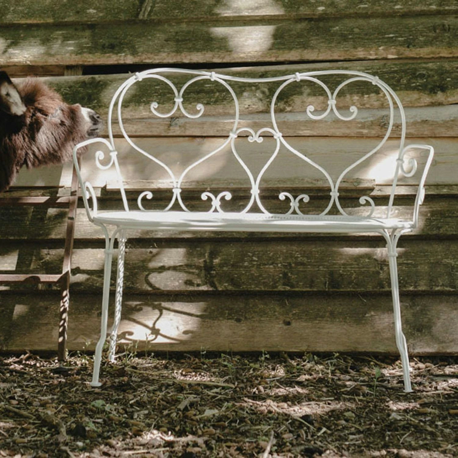 1900 Bank, Rosemary 4 1900 Bank, Rosemary – Bild 2