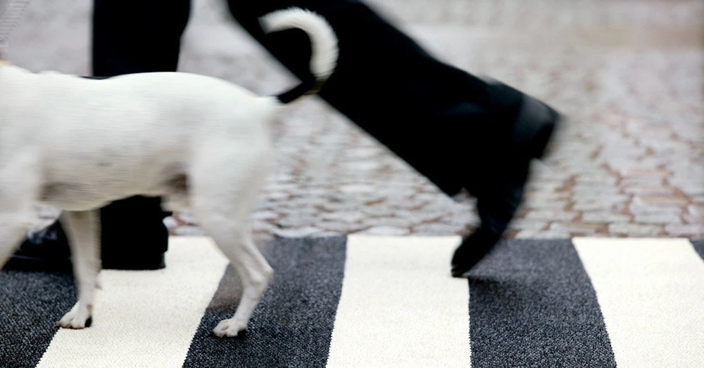 Bob Matte 70x120 Cm, Black/Vanilla 4 Bob Matte 70x120 Cm, Black/Vanilla – Bild 2