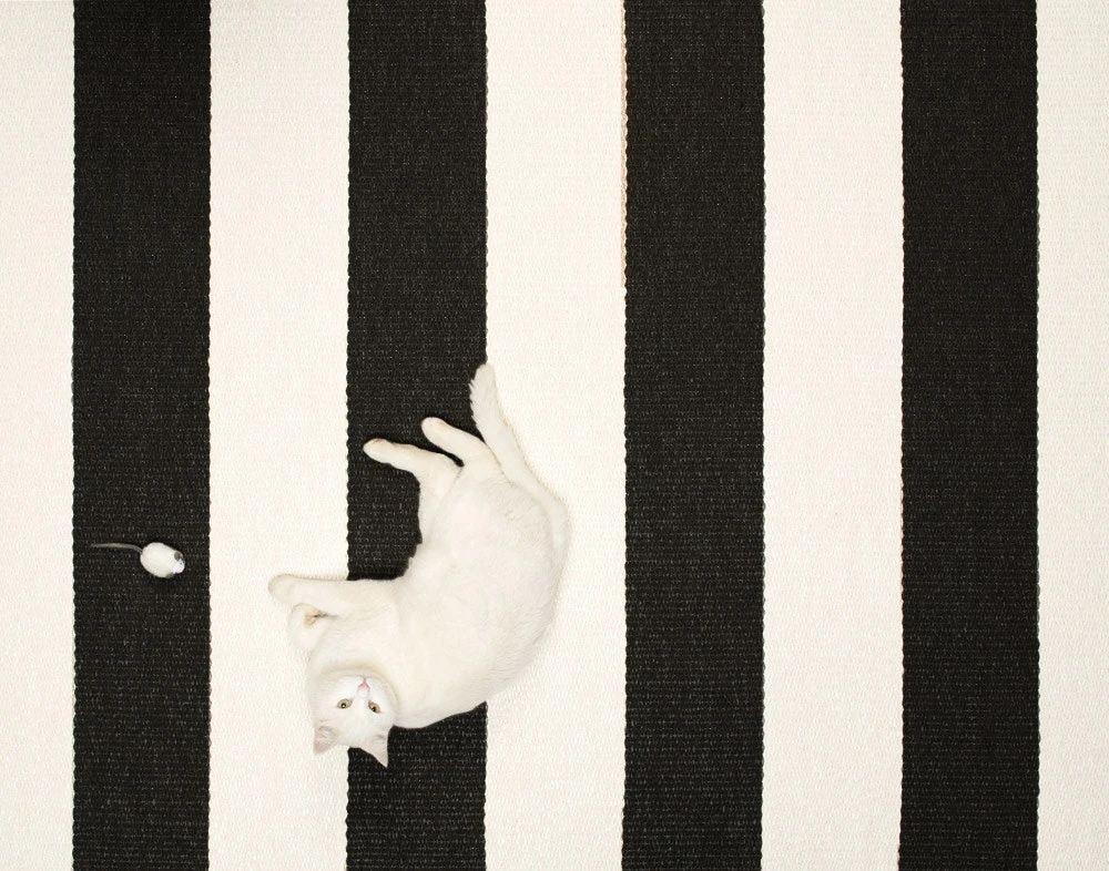 Bob Matte 70x120 Cm, Black/Vanilla 5 Bob Matte 70x120 Cm, Black/Vanilla – Bild 3