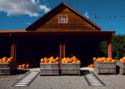 Ella Matte 70x225 Cm, Black/Vanilla -Hay || Brafab || FIAM Verkaufsgeschäft pappelina ella matte 70x225 cm black vanilla 2 1