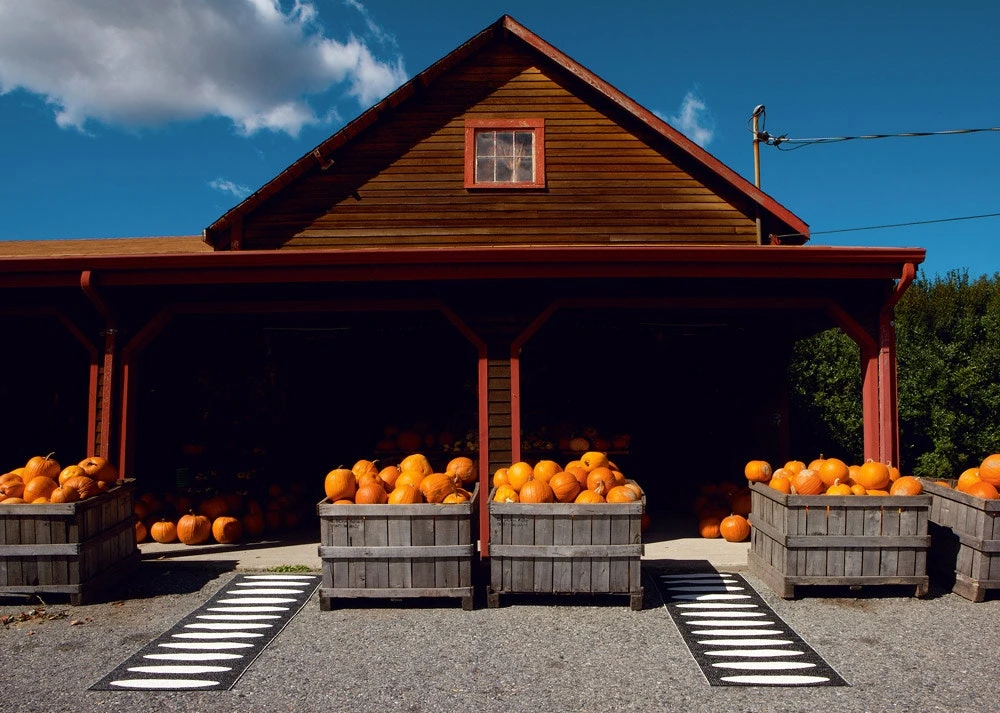 Ella Matte 70x300 Cm, Black/Vanilla 5 Ella Matte 70x300 Cm, Black/Vanilla – Bild 3