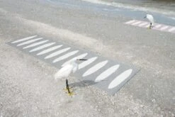 Ella Matte 70x450 Cm, Black/Vanilla -Hay || Brafab || FIAM Verkaufsgeschäft pappelina ella matte 70x225 cm black vanilla 3 3